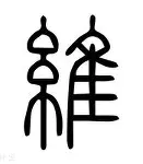 关于维尼修斯战术调整细节曝光的信息